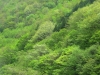 s-dscn2954.jpg